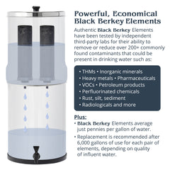 Black Berkey® Filter set (Copy)