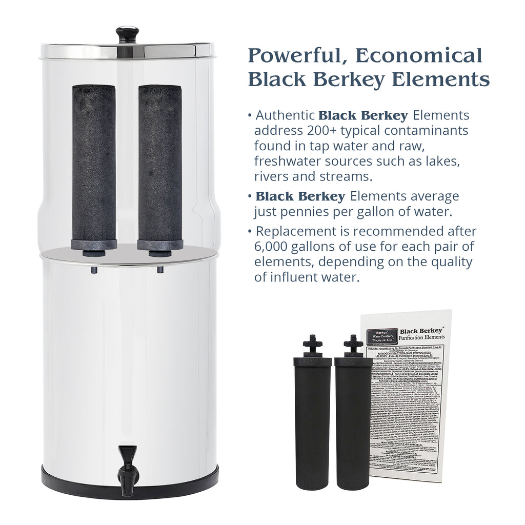 Royal Berkey Water Purification System with 2 Black & PF2 Fluoride Filters